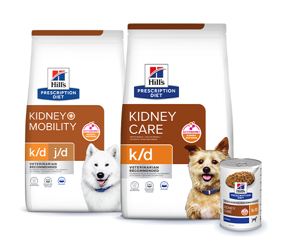 Prescription Diet Kidney care dog food range