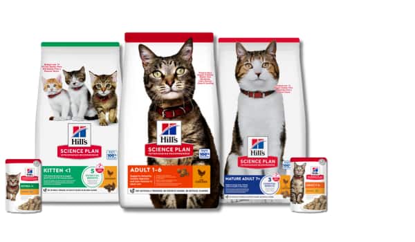 Selection of Science plan cat diets in bags, cans and pouches
