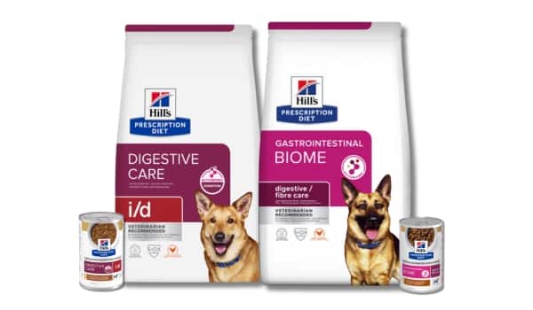 Prescription Diet Digestive care krmivo pro psy