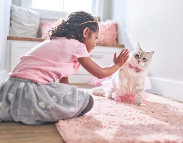 Mladá dívka si hraje s koťátkem