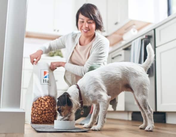 Pes jí krmivo Hill's Pet