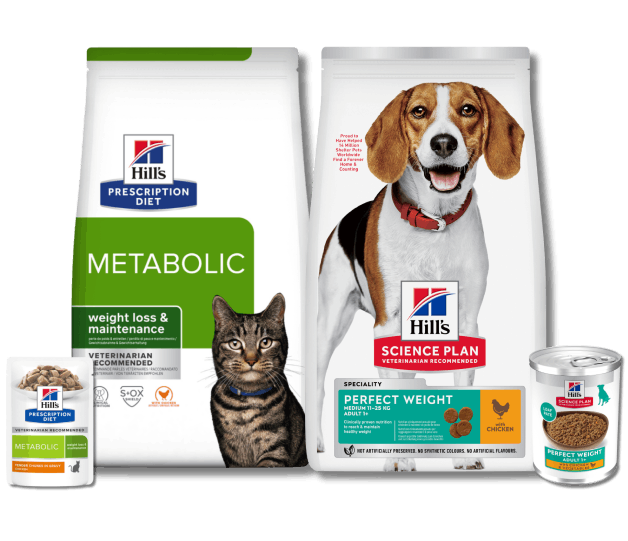 Metabolic Dry and Perfect Weight Dry and Wet Food