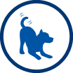 Energie
